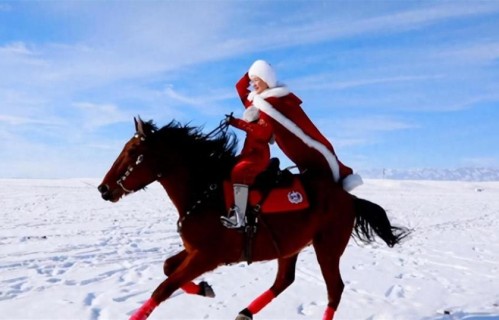 清明刚完，贺娇龙徒弟不再隐瞒，公开师父暗疾，去世细节早被曝光