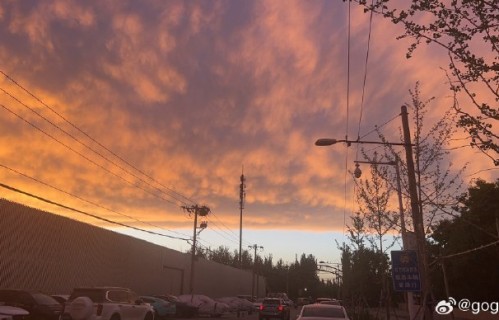 陶泽如老师住院为何选择普通病房而非特殊病房？