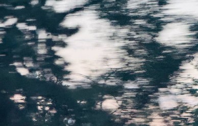 赵雅芝此前在机场因粉丝围堵险些摔倒，事件后续如何？|艺人|追星|惊魂|行程|安保