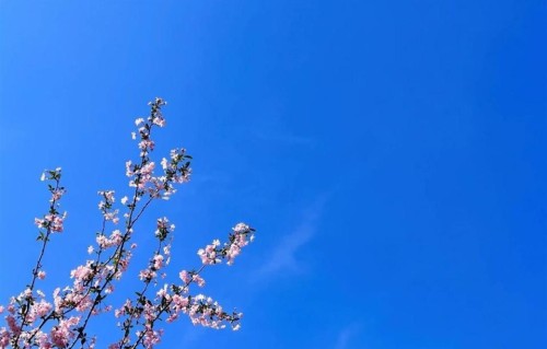 原配输在哪？不如小三却被偏袒，男人的新鲜感执念毁了多少家庭