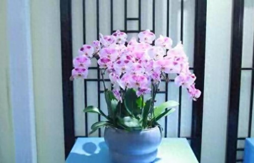 兄弟姐妹不来往了，谁才是最后的输家，很真实的几句话