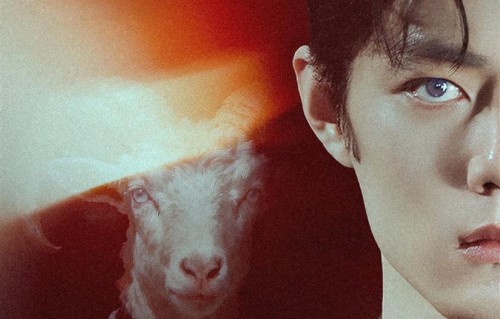 一座城为一个人开专属频道：肖战还没开拍，青岛已经疯了