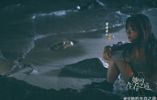 窦靖童和宋妍霏是否共同主演过电视剧《她的生存之道》？