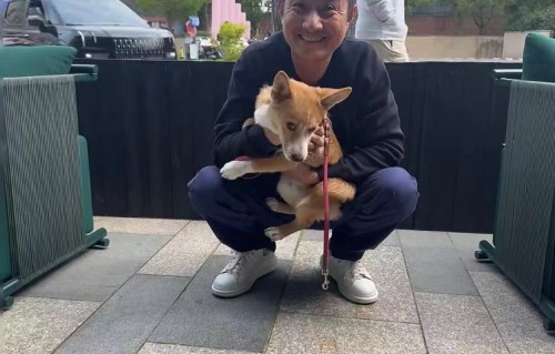 辟谣了，文章抱的小孩是客人的，是他主动要抱抱人很好