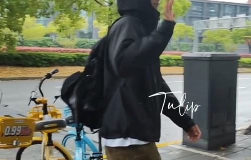 朴宝剑现身上海多地，市民频繁偶遇