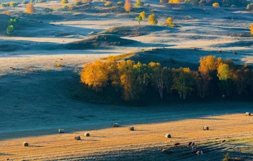 活到通透才懂，人生大智慧，从来不是精明，而是这4点