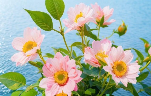 B站1.4亿人搜过的词，藏着47.5%中国人的隐痛：你不是老好人，你是情感囚徒