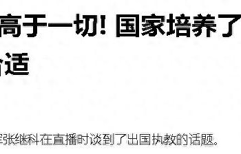被国家队开除，拒绝加拿大国籍加千万合同，王濛和张继科是一类人 