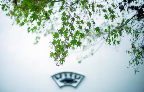 活着活着就懂了，无论和谁相处，记住这4句话，对人生很重要！