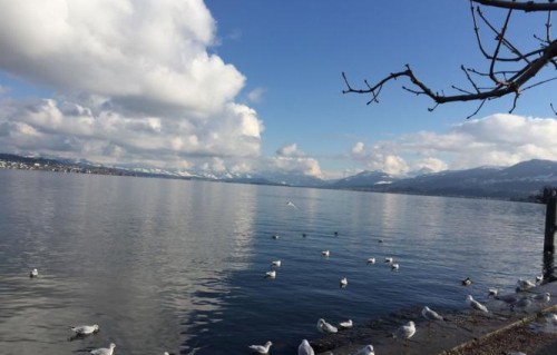 婆媳矛盾的本质：家庭权力争夺