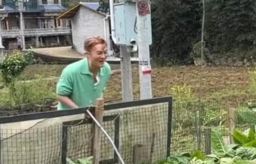 吴克群100元买青菜被拒！大爷当场摆脸：不卖！明星身份啥用没有